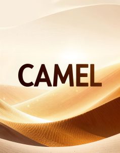 Сигарети Camel купити оптом - блок і ящик, доставка по Україні
